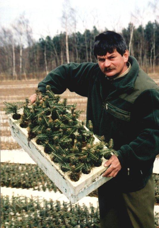 Szkółka w Oleszycach- leśniczy Józef Maksymowicz z kontenerem młodej jodły